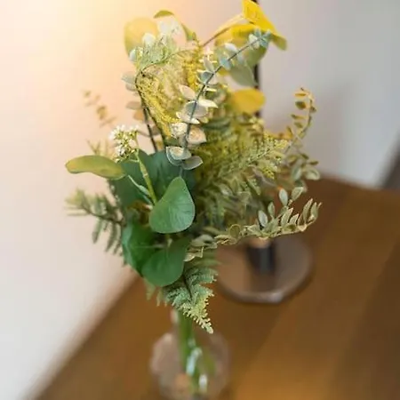 Unique Luxury Flat Apartment Brussels