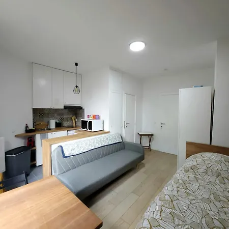 Charming In Saint Josse Noode 30 M² Garden View Brussels