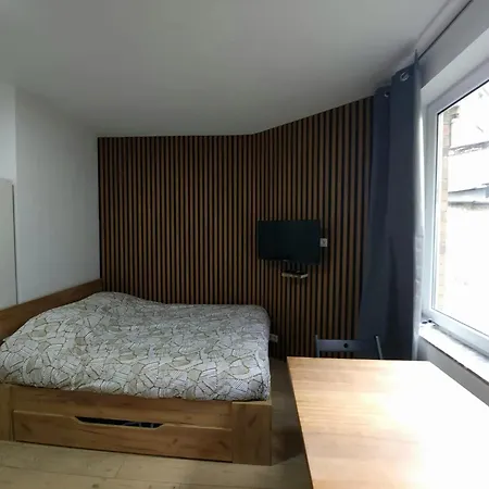 Charming In Saint Josse Noode 30 M² Garden View Apartment