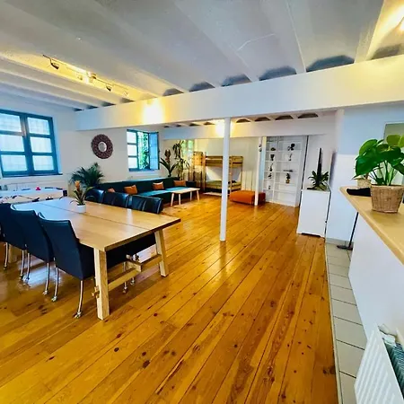 Oasis-spacious Loft In Excellent Location Brussels