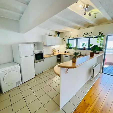 Oasis-spacious Loft In Excellent Location * Brussels