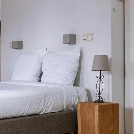 Apartment New Stylish Grand Place Center Duplex