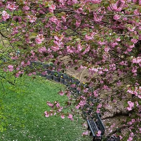 Garden *