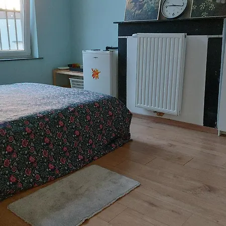 Homestay Confortable Avec Un Lit Double A Schaerbeek Cle Bleu *