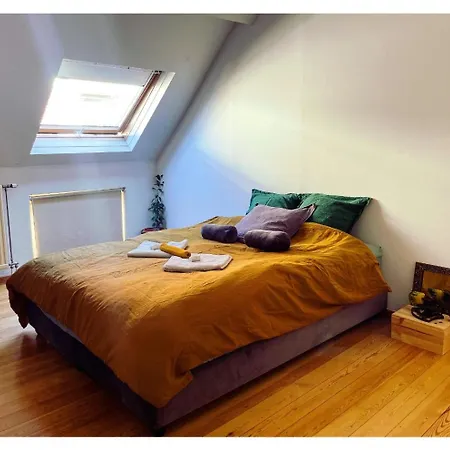 Homestay Double Dans Maison Lumineuse Saint Job Uccle *