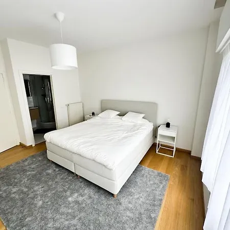 Charming In Ixelles Apartment Brussels