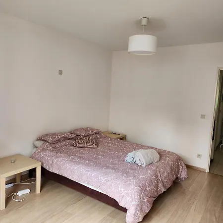 Charming In The Center Of Apartment *