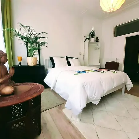 Charming In Schaarbeek 80 M² Piano Available *