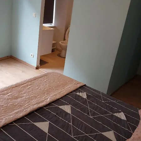 Maison Partagee Cle Rouge Homestay Brussels