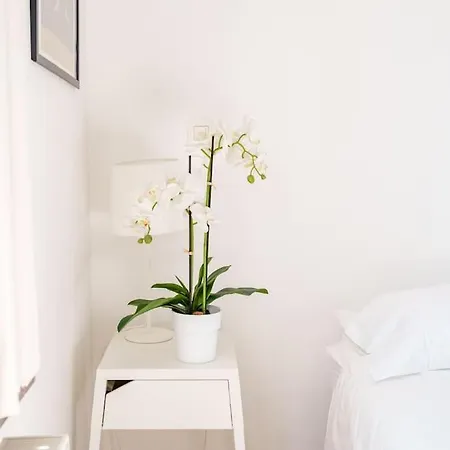 Smart - Gare Du Midi Appartement Brussel