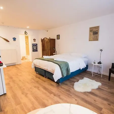 Smart - Gare Du Midi Appartement Brussel