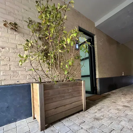 Apartment Studio Gare Du Midi Brussels