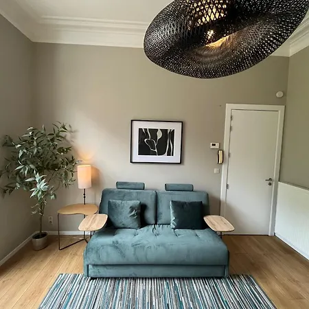 Superbe 1 Chambre, Renove A Ixelles Apartment