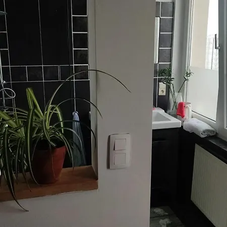 Charming In Etterbeek 70 M² With Balcony Apartment Brussels