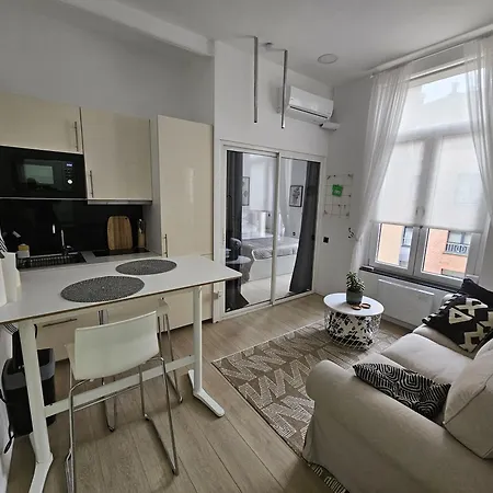 Apartment Cosy Dansaert