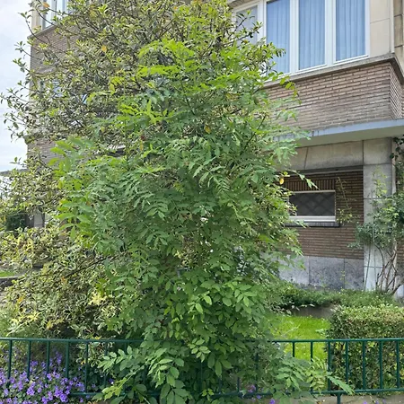 Apartment Ixelles 2 Chambres, 3 Lits Brussels