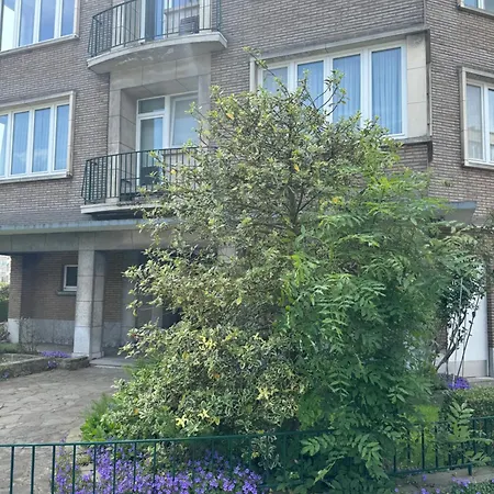 Apartment Ixelles 2 Chambres, 3 Lits *