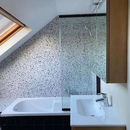 Spacieux Duplex D'architecte Brussels