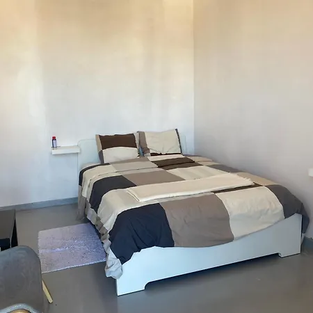 Fly House