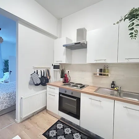 Chaleureux Et Accueillant Apartment Brussels