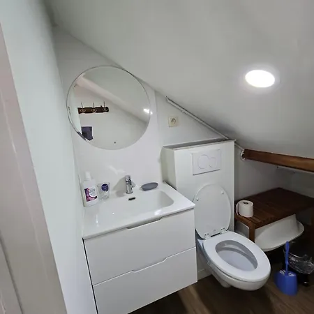 Homestay Fomed Brussels