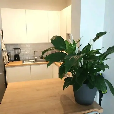 Beautiful 2 Bedroom In Place Flagey Bxl Apartment Brussels