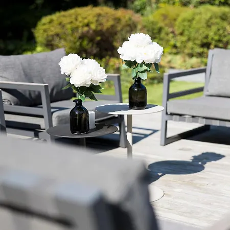 Luxurious 1000m2 With Garden And Pool Villa Brussels