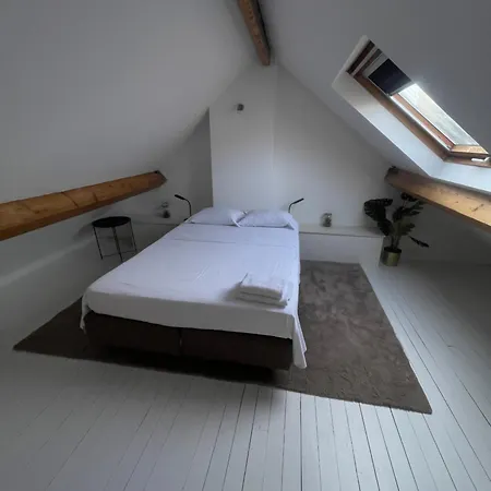 Attic European Quarter Apartment *