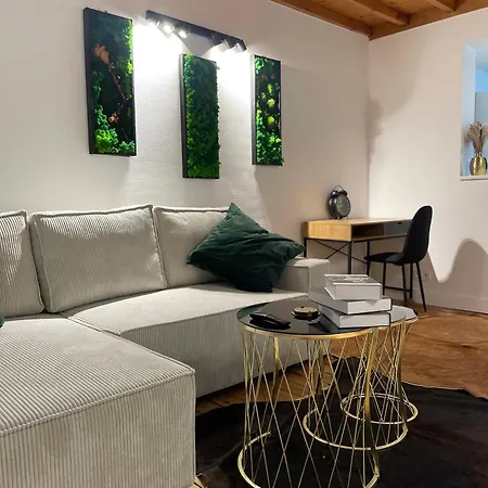Attic European Quarter Apartment