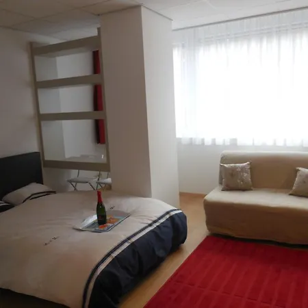Studio Grand Place Apartment