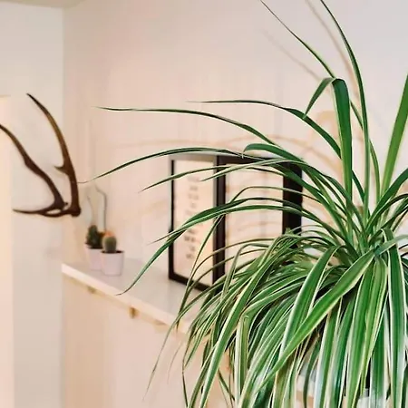 Beautiful In Le Chatelain - Ground Floor Apartment Brussels