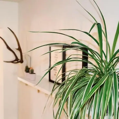 Beautiful In Le Chatelain - Ground Floor Apartment