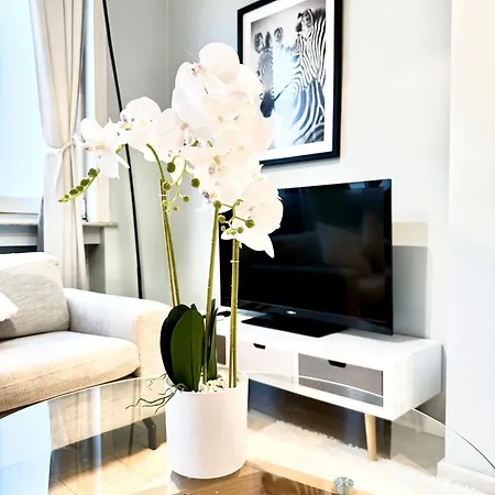 Apartment Beautiful 2 Bedroom Familiar Luxury Brussels