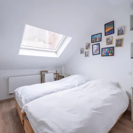 Apartment 6 Bedroom House With Private Bathrooms In Bxl Downtown *