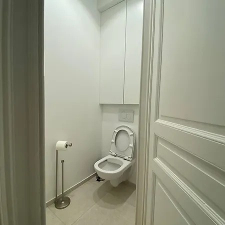 Charming Renovated In Vibrant Saint Gilles, Brussels