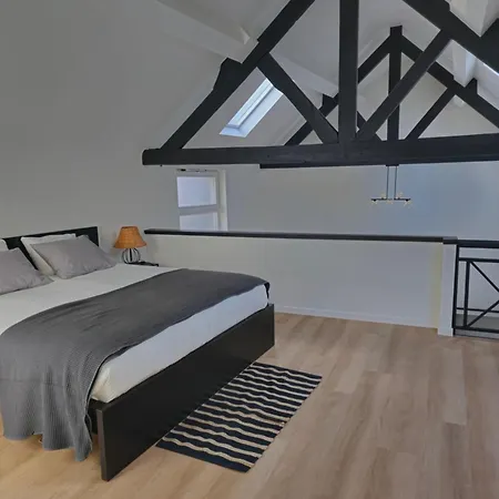 Aqua Loft Quartier Europeen Apartment