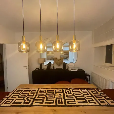 Charming Duplex In Brussels