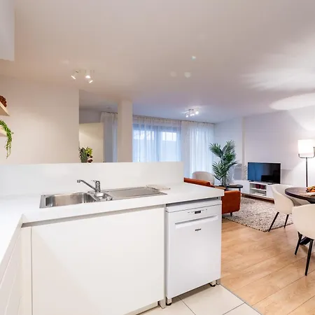 Contemporary Comfort In The Heart Of The Brussels