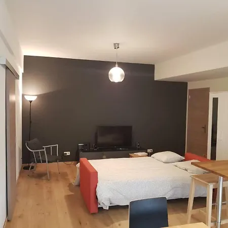 Renovated One Bedroom Schuman Area Apartment *