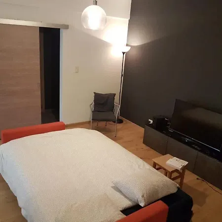 Apartment Renovated One Bedroom Schuman Area Brussels