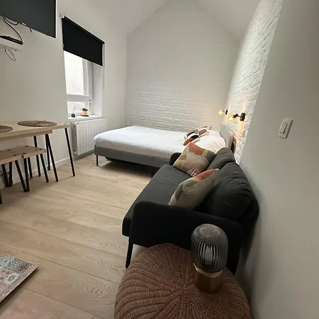 Ixelles - Cozy In Middle Of European District Brussels