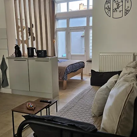 Proche Du Centre De Bruxelles, Atomium,tour&taxi,ing Arena Appartement