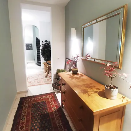 Dodo Brussels