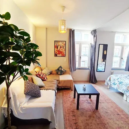 Dodo Guest house 3*