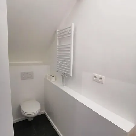Guest house Dodo 3*