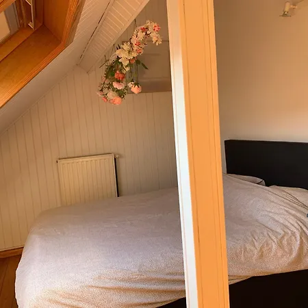 Belle Etage A Stockel With Charming Patio * Brussels