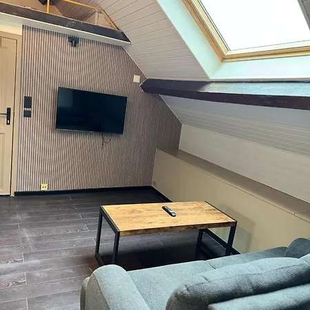 Joli Lumineux Apartment Brussels