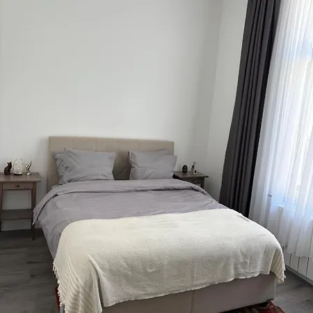 Apartment Modern 1 Bedroom And Sofa Bed *