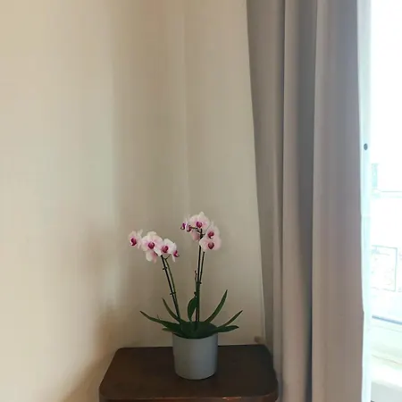 Beautiful 2 Bedroom In Place Flagey Bxl Brussels