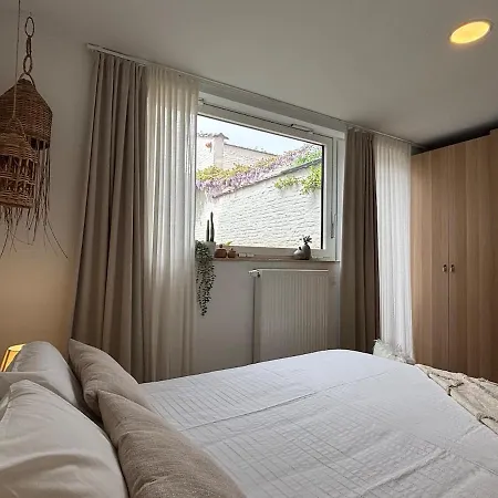 Apartment Lumineux Avec Jardin Proche Du Centre Brussels